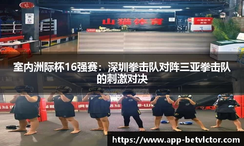 伟博体育app