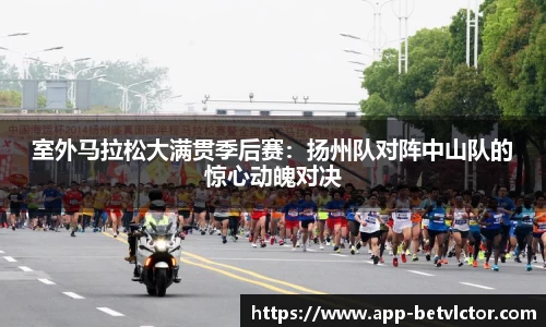 伟博体育官网
